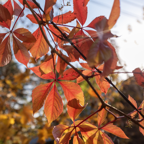 Photo #14091473