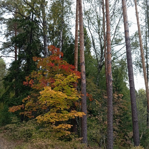Photo #14091496