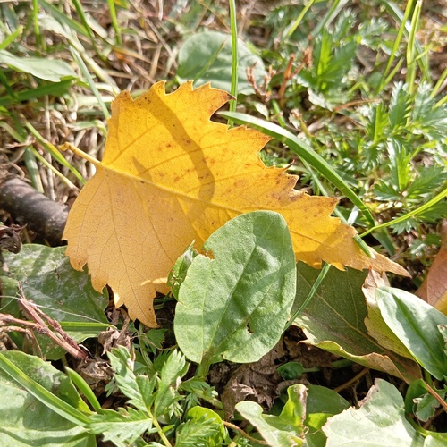 Photo #14091497