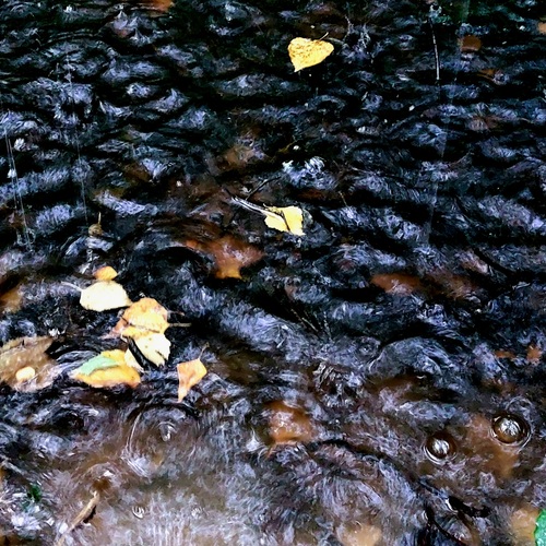 Photo #14091608