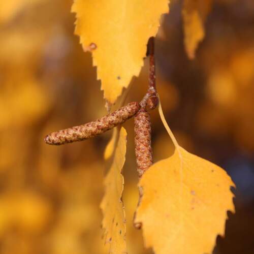 Photo #14091641