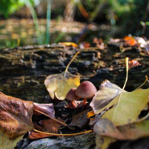 Photo #14091642
