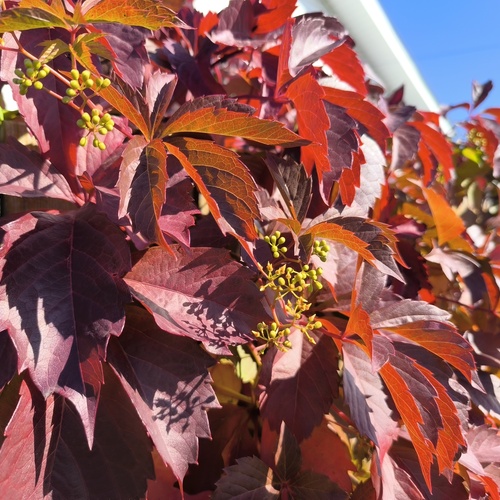 Photo #14091651