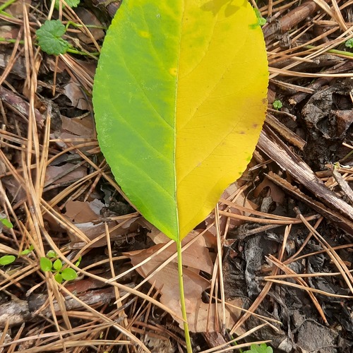 Photo #14091700