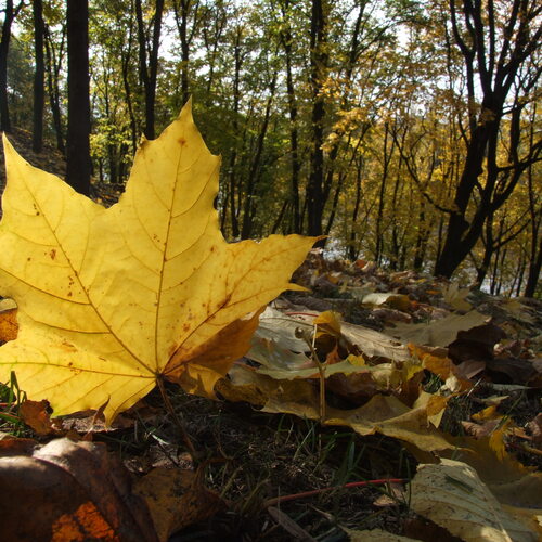 Photo #14091800