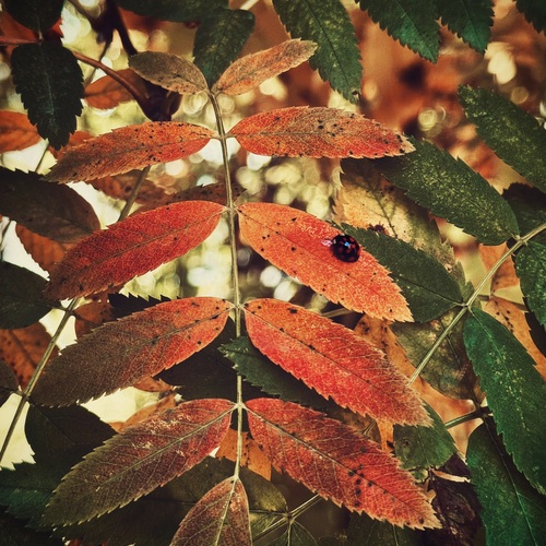 Photo #14091830