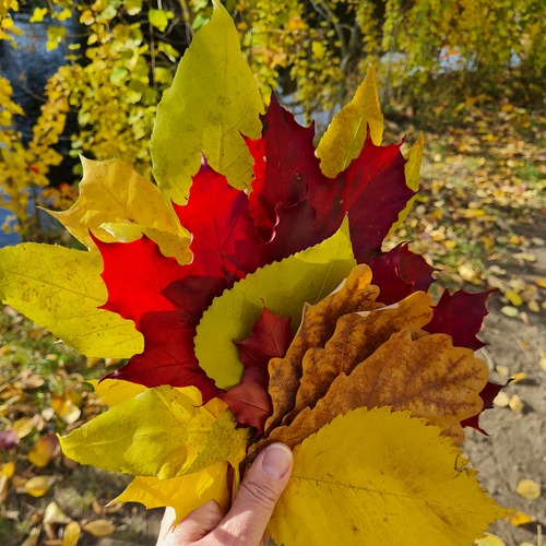 Photo #14091837