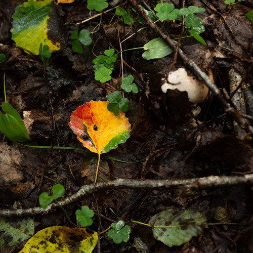 Photo #14091869