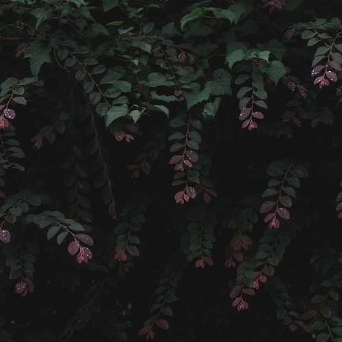 Photo #14091938