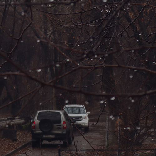 Photo #14091958