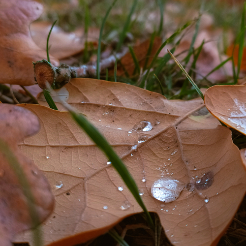 Photo #14092001