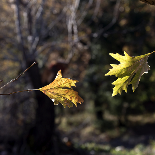 Photo #14092007