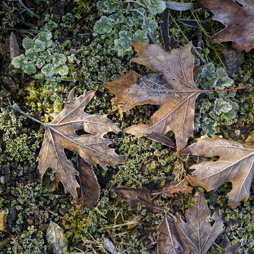 Photo #14092008