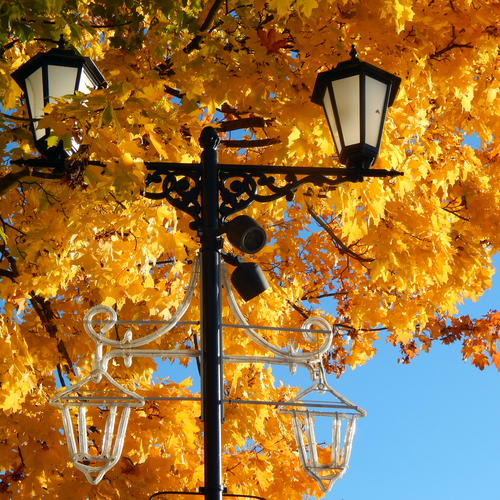Photo #14092044