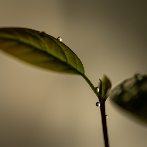 Photo #14092164