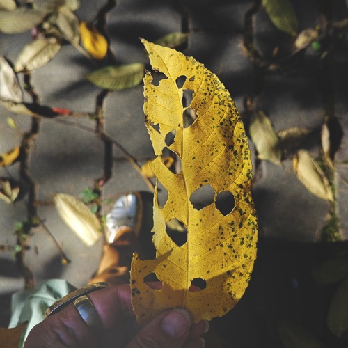 Photo #14092222