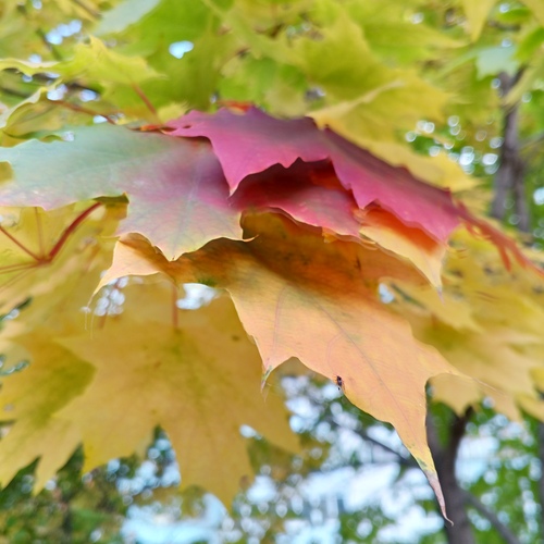 Photo #14092273