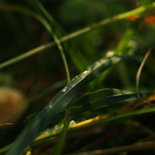 Photo #14092284