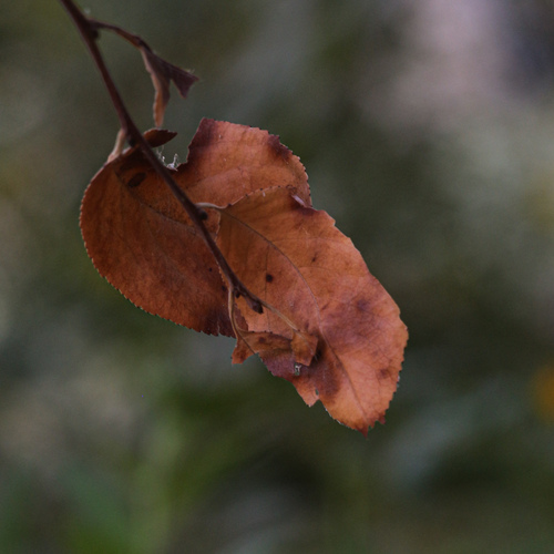 Photo #14092303
