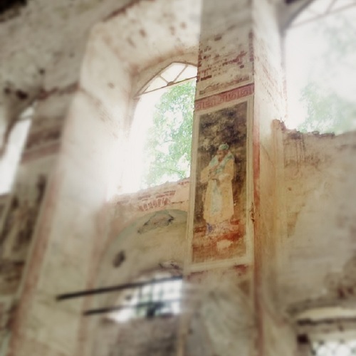 Photo #14092304