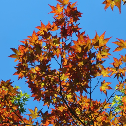 Photo #14092358