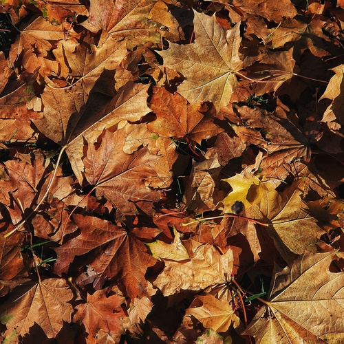 Photo #14092446
