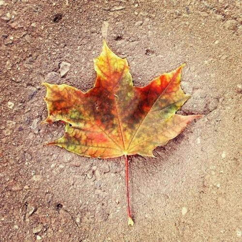 Photo #14092461