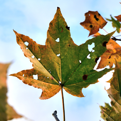 Photo #14092465