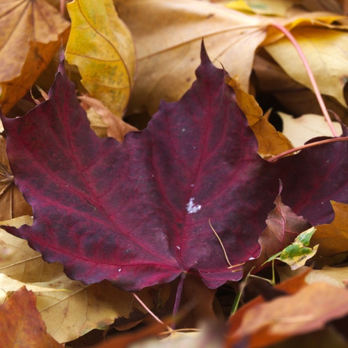 Photo #14092475
