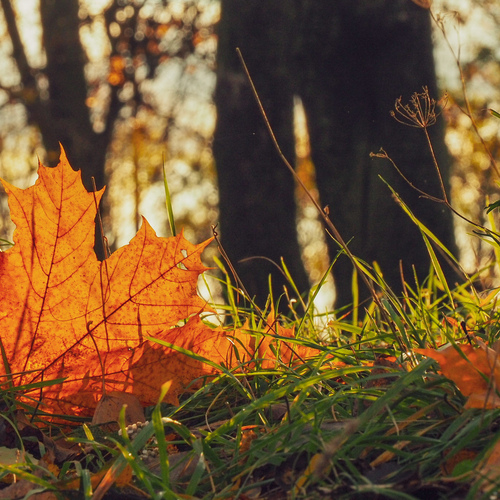 Photo #14092522