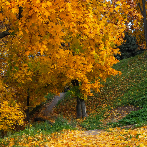 Photo #14092525