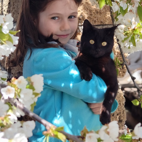 Photo #14092554