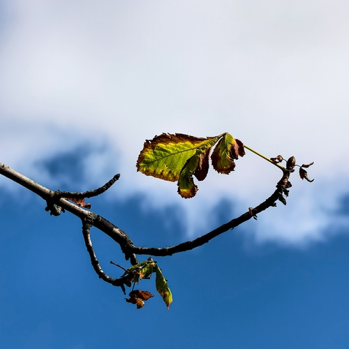 Photo #14092564