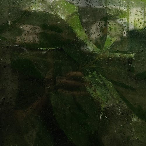Photo #14092569