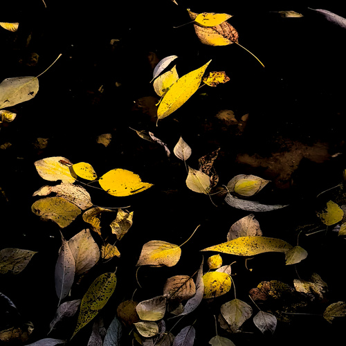 Photo #14092584