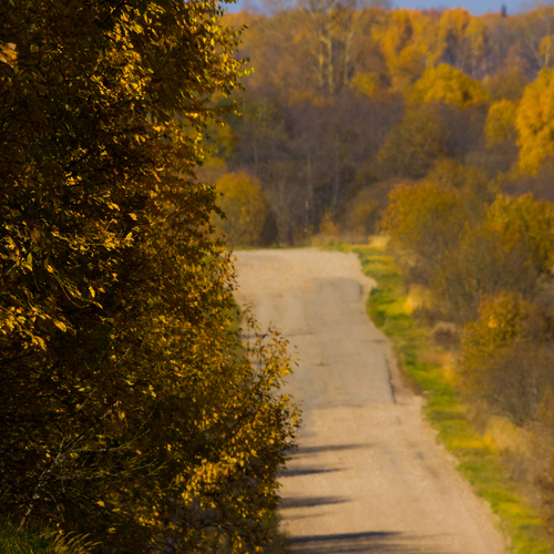 Photo #14092595
