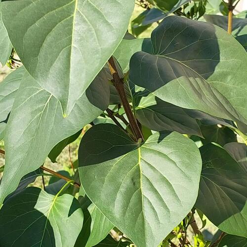 Photo #14092602