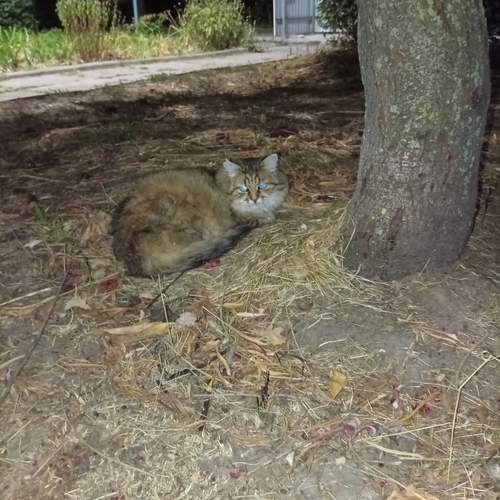 Photo #14092608