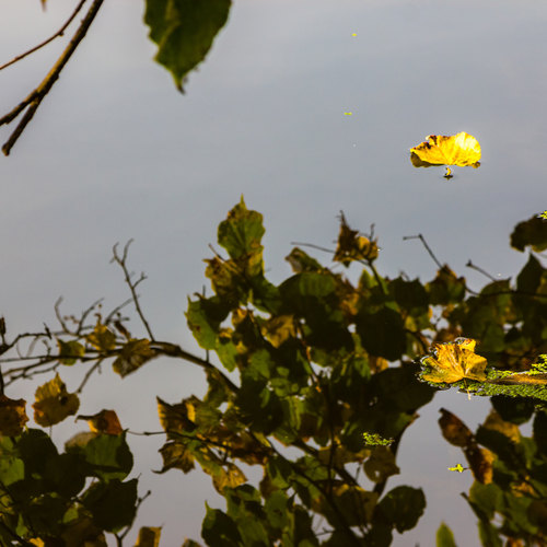 Photo #14092618