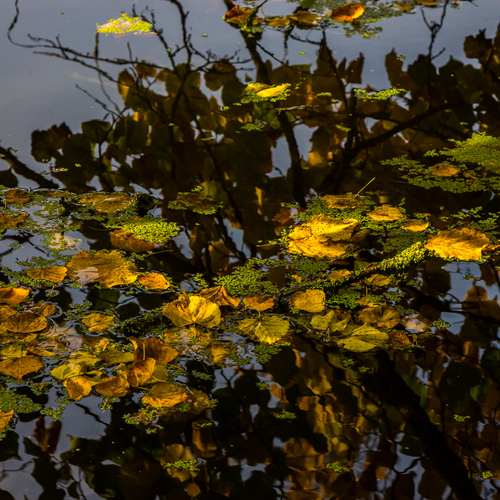 Photo #14092623