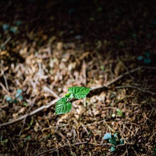 Photo #14092637
