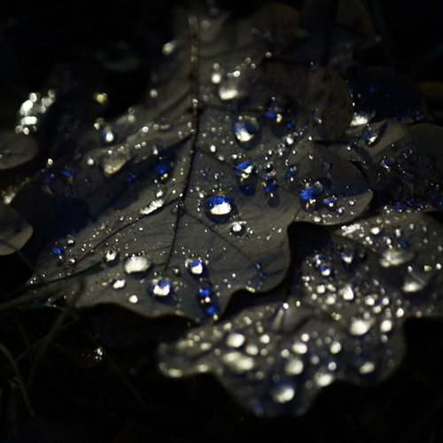 Photo #14092672