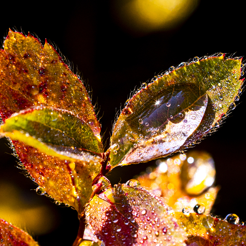 Photo #14092683