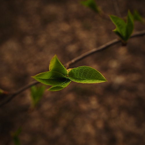 Photo #14092758