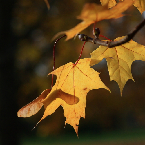 Photo #14092762
