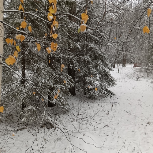 Photo #14092771