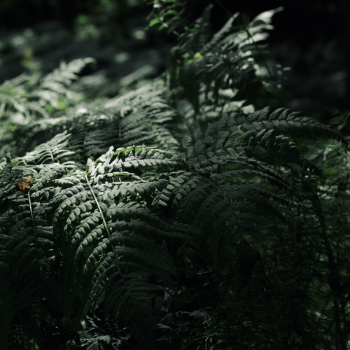 Photo #14092778