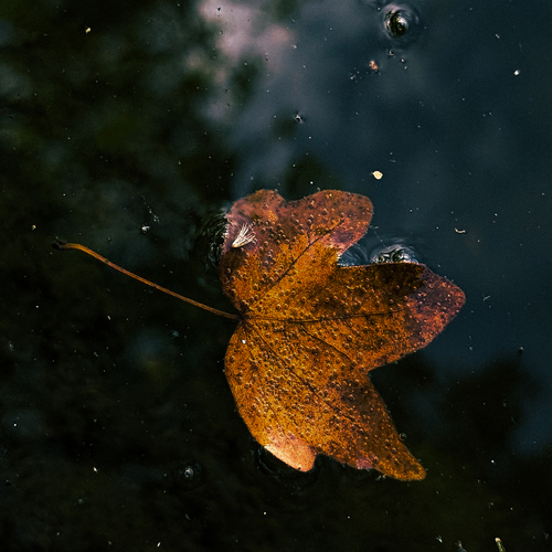 Photo #14092785