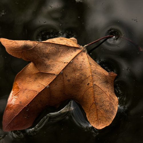Photo #14092796
