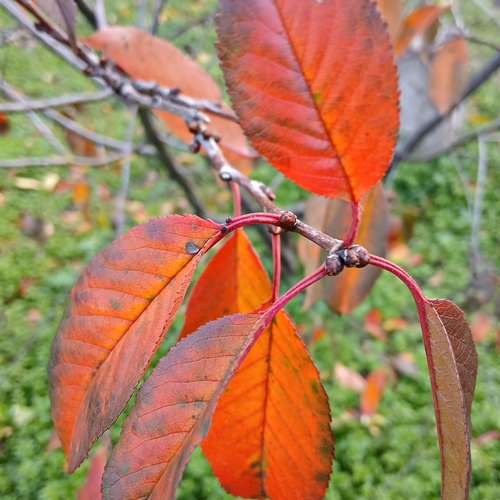 Photo #14092800